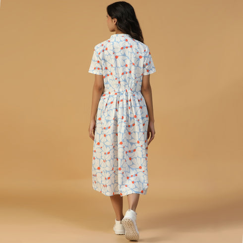 Collar Dress